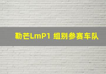 勒芒LmP1 组别参赛车队